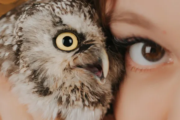 Betitall Kasino Podpora